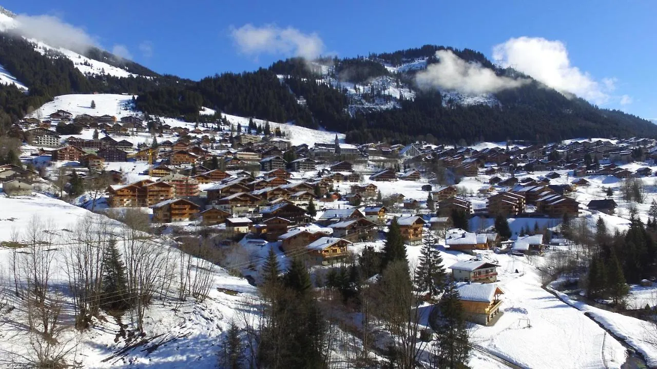 Chalet Le Savoyard Villa Chatel France